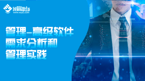 高级软件需求分析和管理实践