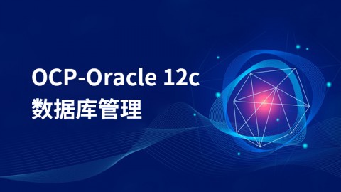 OCP-Oracle 12c数据库管理