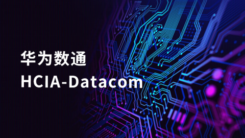 华为数通 HCIA-Datacom