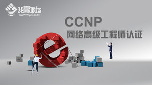 CCNP网络高级工程师认证